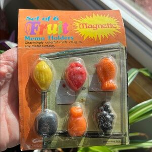 Vtg 6 Piece Fruit Magnet Set Memo Holder NOS Refrigerator Note List Hong Kong